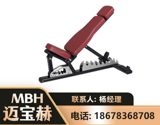 兰州可调哑铃椅